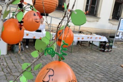 Foto-30.10.22-15-48-50